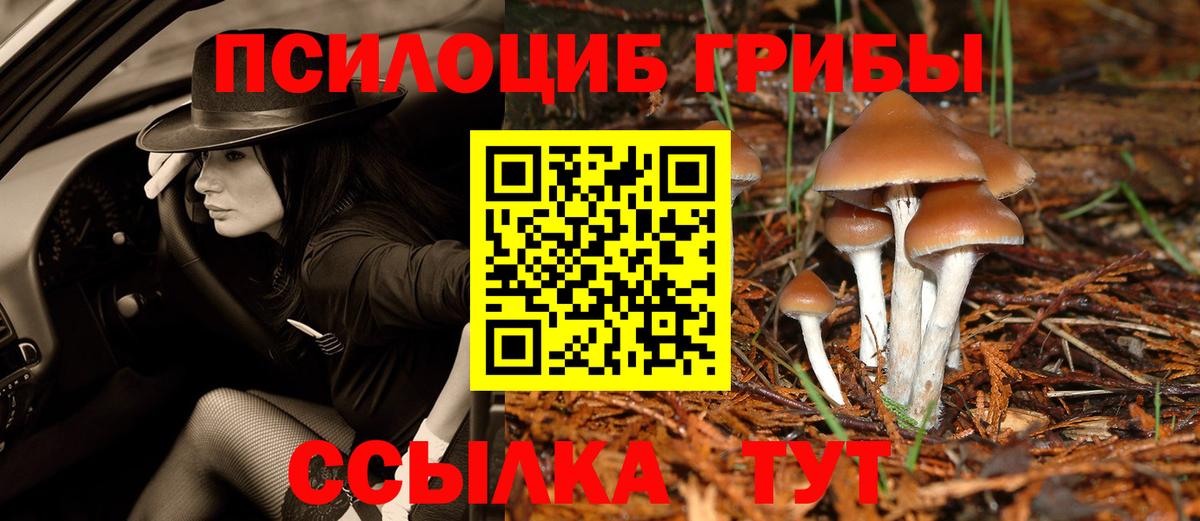Галлюциногенные грибы ЛСД Димитровград