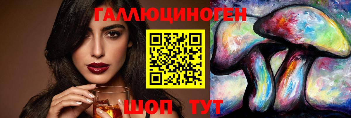 Димитровград  Галлюциногенные грибы прущие грибы  Вход с VPN  Псилоцибиновые грибы Magic Shrooms 